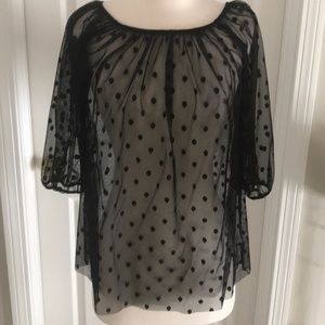 Cache sheer polka dot top